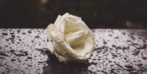 quanto custa um funeral